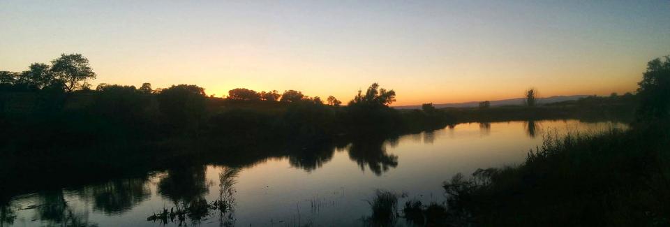 15 de Juliol de 2016 la bassa al capvespre  Palouet -  Ramon Sunyer