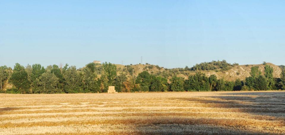 17 de Juliol de 2016 paisatge  L'Alzina -  Ramon Sunyer