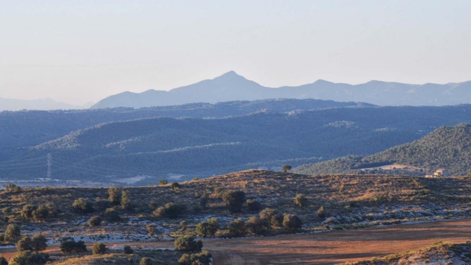 17 de Juliol de 2016 paisatge  L'Alzina -  Ramon Sunyer