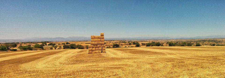 17.7.2016   Tarroja de Segarra -  Ramon Sunyer