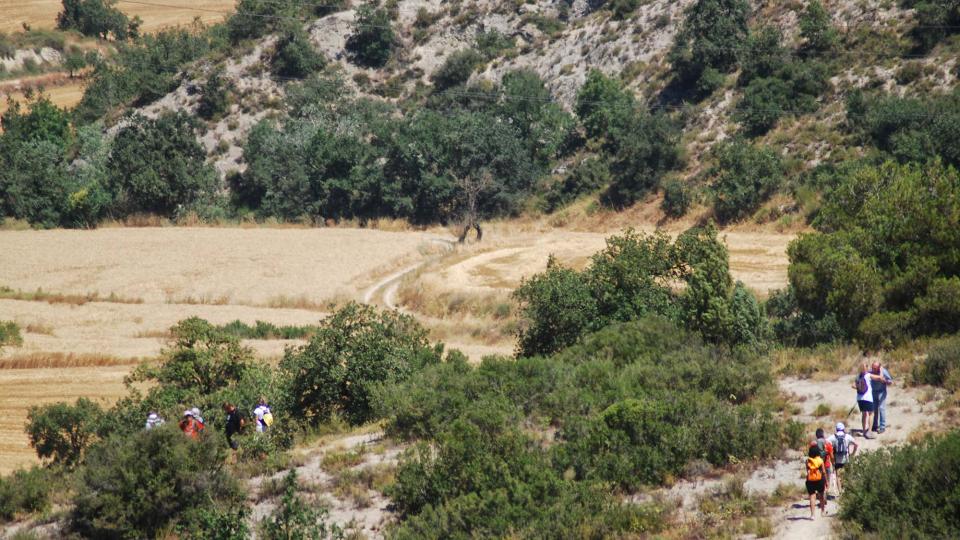 23 de Juliol de 2016   Torà -  Ramon Sunyer