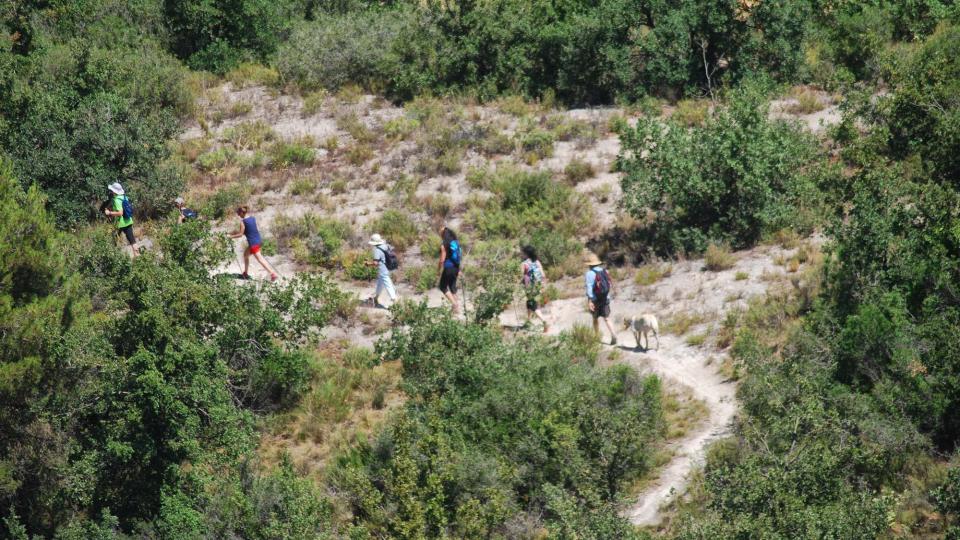 23 de Juliol de 2016   Torà -  Ramon Sunyer