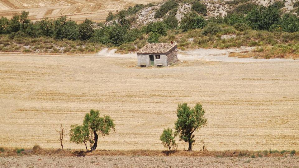 23 de Juliol de 2016   Torà -  Ramon Sunyer