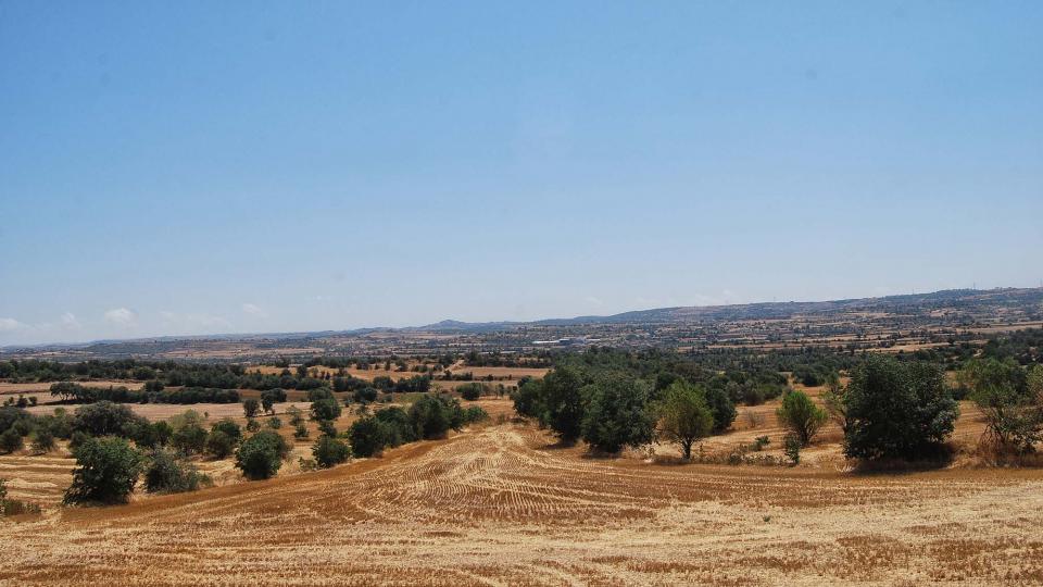 31 de Juliol de 2016 paisatge  Plandogau -  Ramon Sunyer