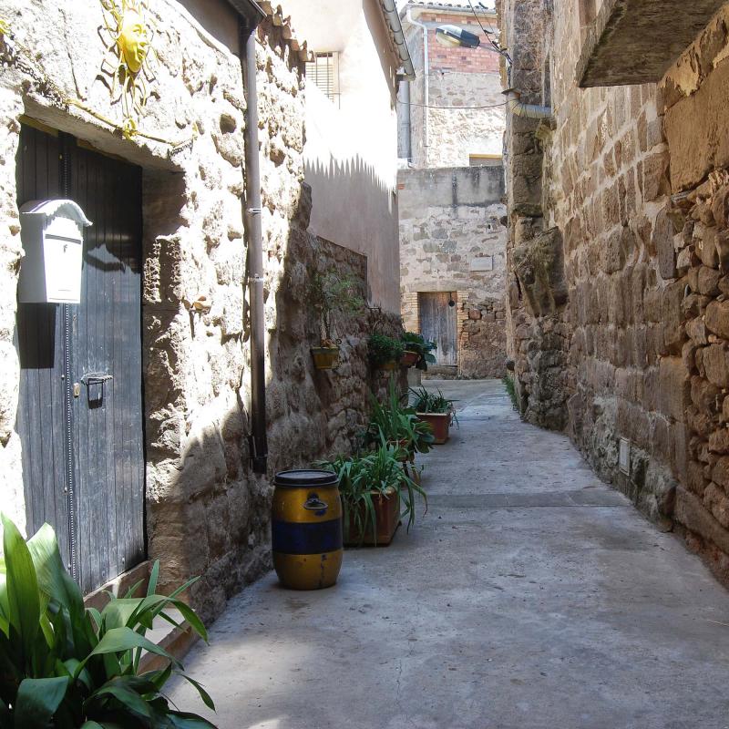 Vila vella portals i carrers - Autor Ramon Sunyer (2016)