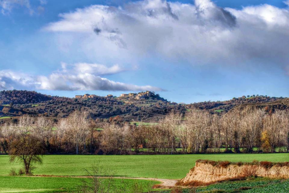 30 de Desembre de 2014 vista  L'Alzina -  Ramon Sunyer