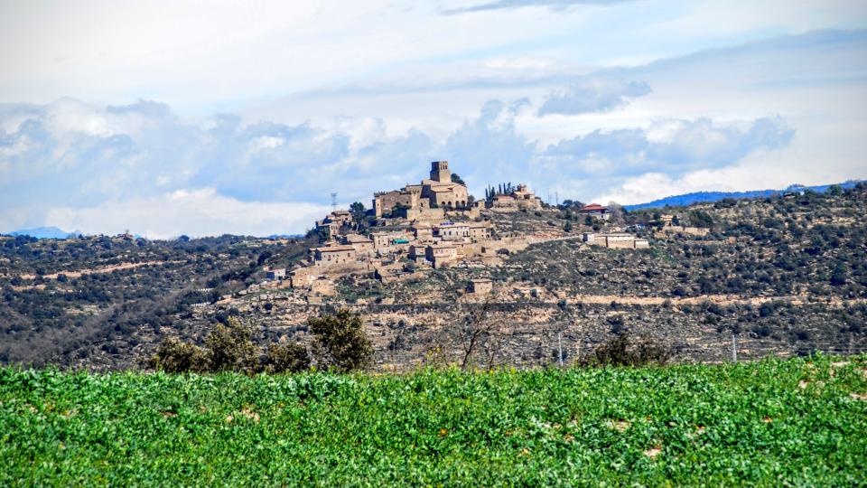 27 de Març de 2016 Vista des de l'Alzina  Ribelles -  Ramon Sunyer