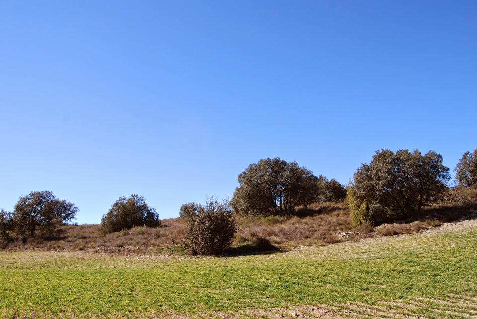 22.2.2015 paisatge  Vilanova de l'Aguda -  Ramon Sunyer