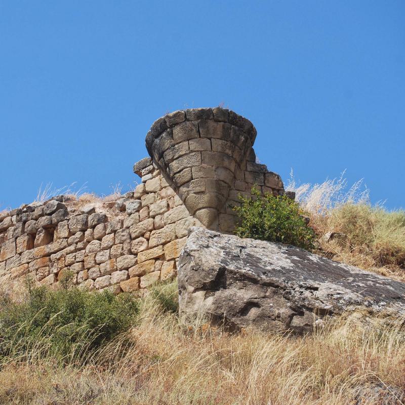 16.8.2016 el castell  Sanaüja -  Ramon Sunyer