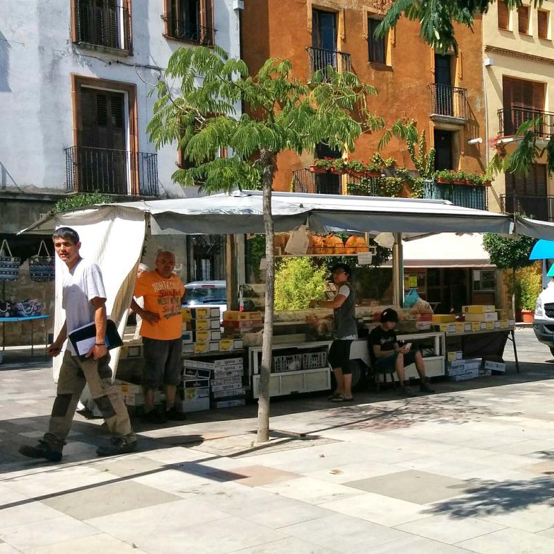 19 de Agost de 2016 mercat  Torà -  Ramon Sunyer