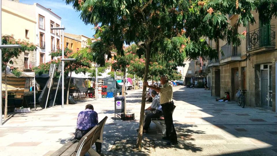 19 de Agost de 2016 mercat  Torà -  Ramon Sunyer