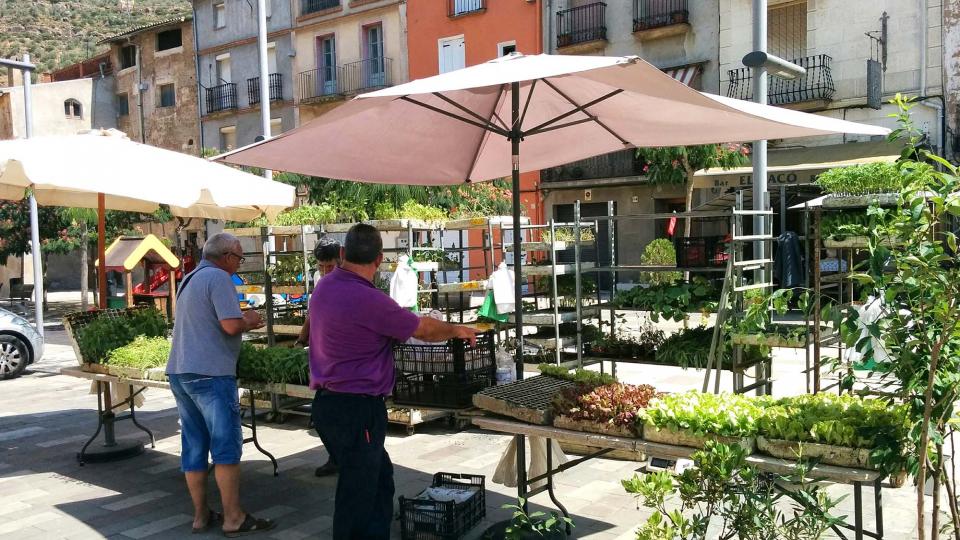 19 de Agost de 2016 mercat  Torà -  Ramon Sunyer