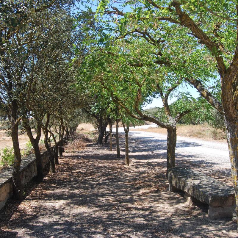 14 de Agost de 2016 Ermita Sant Magí  Guardiola -  Ramon Sunyer