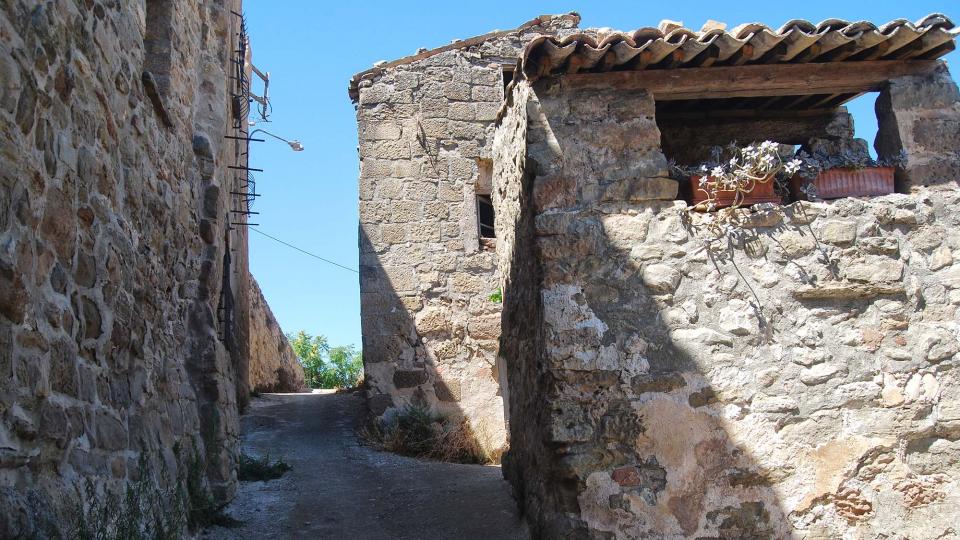 14.8.2016 carrer  L'Alzina -  Ramon Sunyer