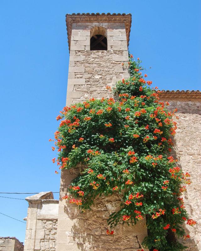 14.8.2016 Església Sant Salvador  Vilalta -  Ramon Sunyer