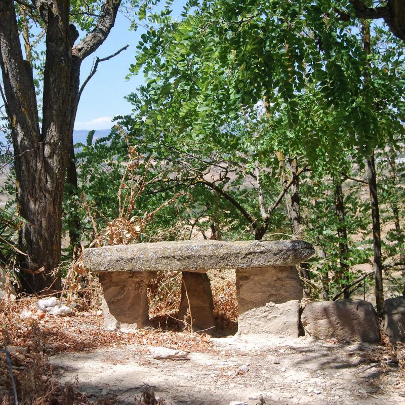 14.8.2016 banc de pedra  L'Alzina -  Ramon Sunyer