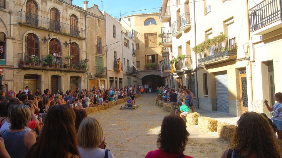 3 de Setembre de 2016 Baixada d'andròmines  Torà -  Ramon Sunyer