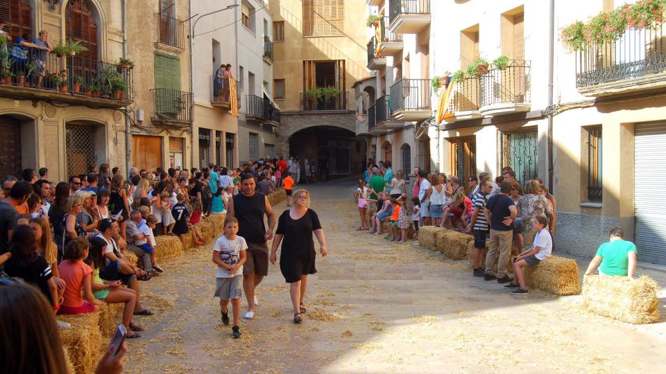 3 de Setembre de 2016 Baixada d'andròmines  Torà -  Ramon Sunyer