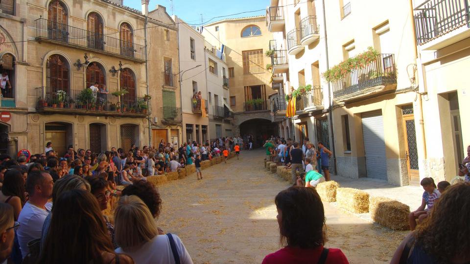 3 de Setembre de 2016 Baixada d'andròmines  Torà -  Ramon Sunyer