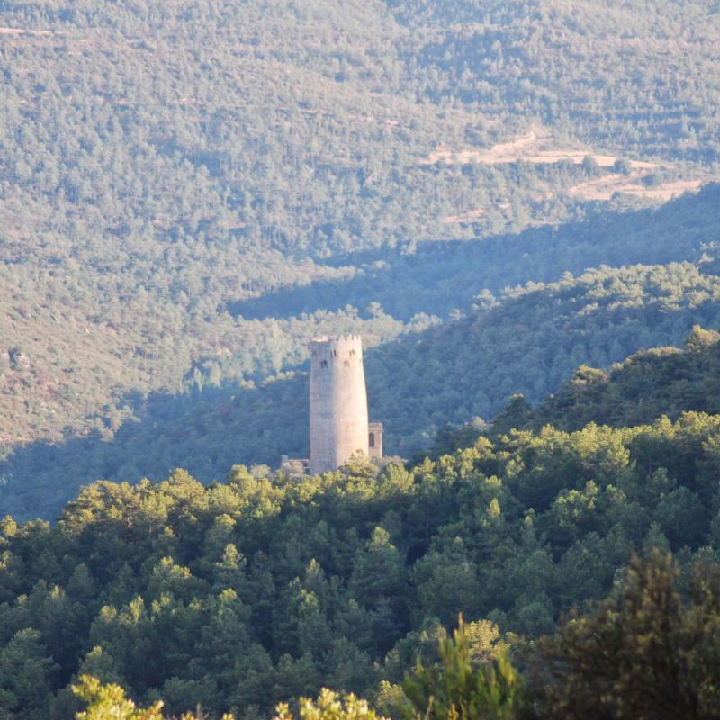 10 de Setembre de 2016 Torre  Vallferosa -  Ramon Sunyer