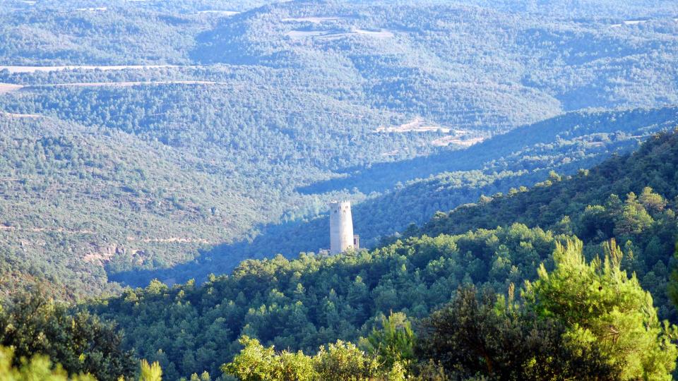 10 de Setembre de 2016 Torre  Vallferosa -  Ramon Sunyer