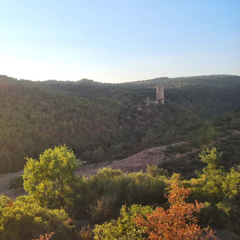 10 de Setembre de 2016 Torre  Vallferosa -  Ramon Sunyer