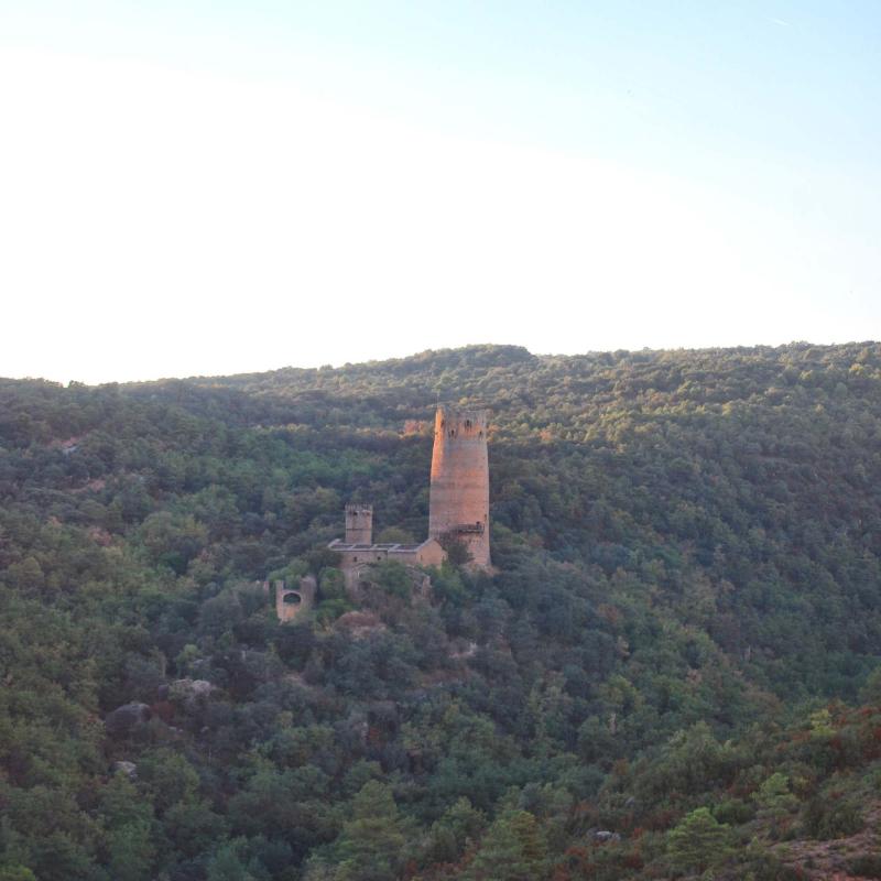 10 de Setembre de 2016 Torre  Vallferosa -  Ramon Sunyer