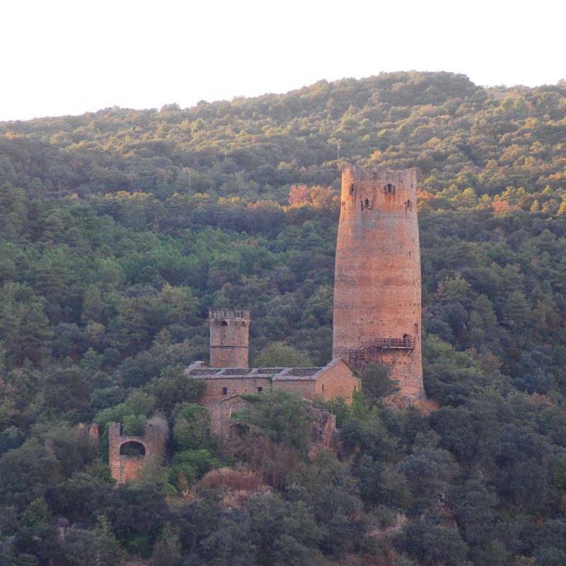10 de Setembre de 2016 Torre  Vallferosa -  Ramon Sunyer