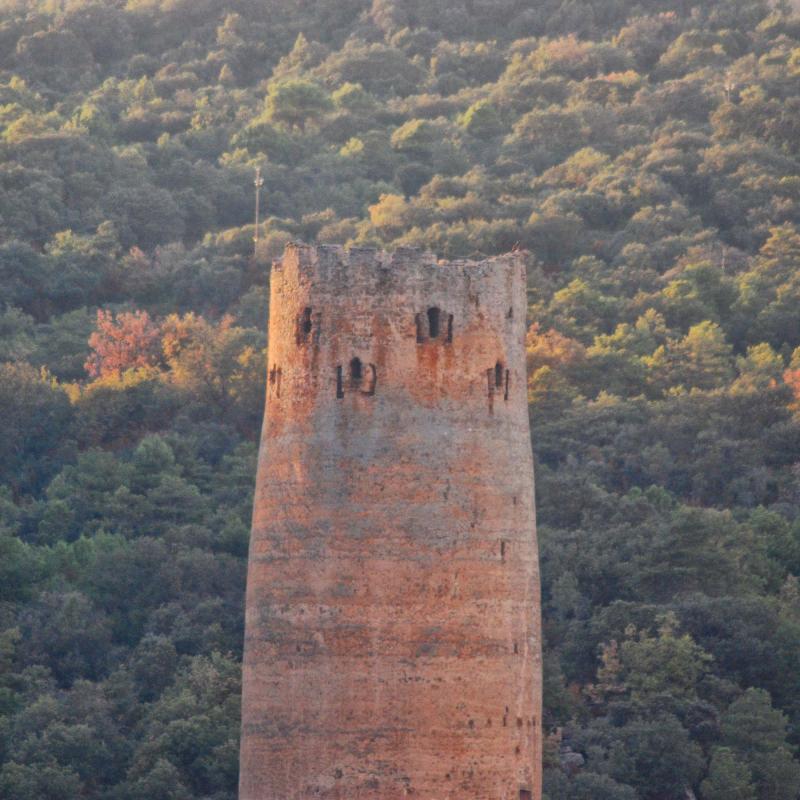 10 de Setembre de 2016 Torre  Vallferosa -  Ramon Sunyer