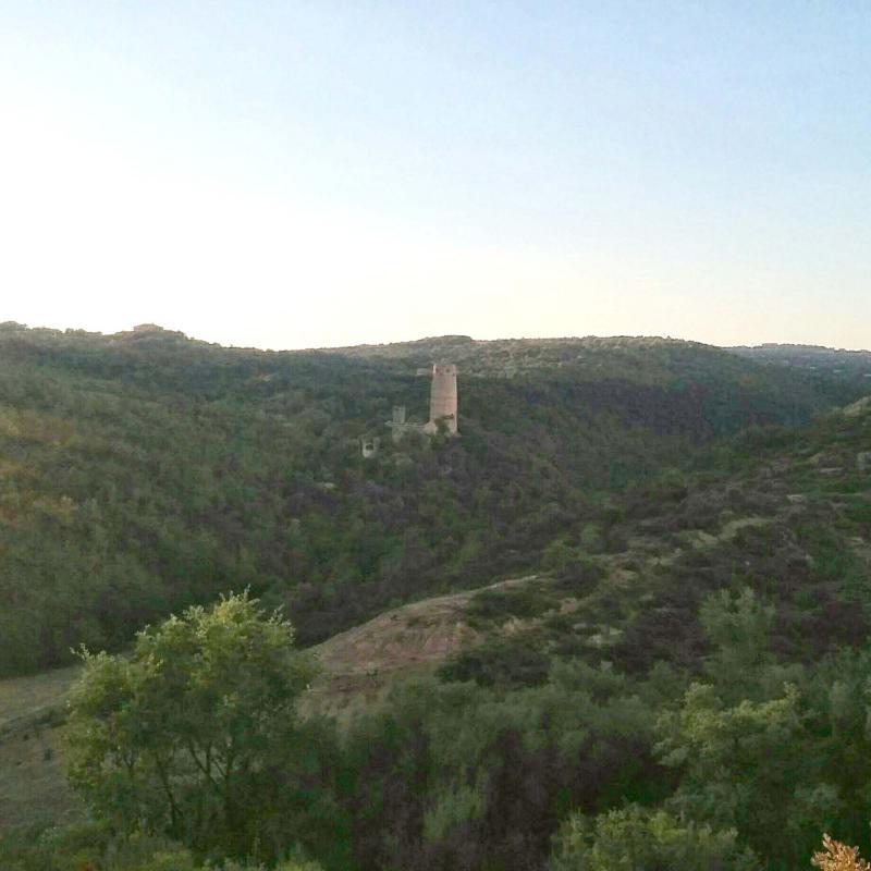 10 de Setembre de 2016 Torre  Vallferosa -  Ramon Sunyer