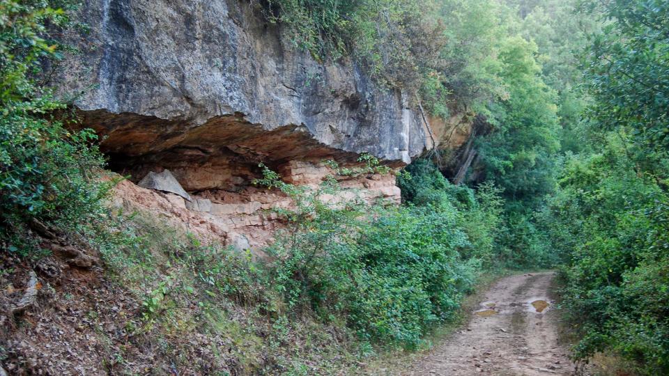 10 de Setembre de 2016 Paisatge  Llanera -  Ramon Sunyer