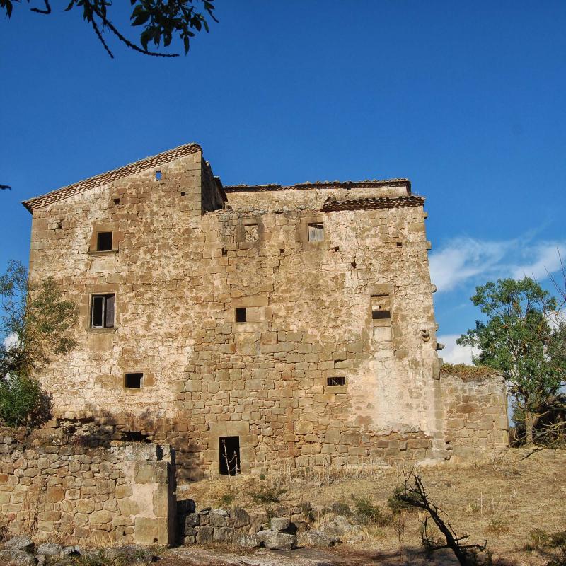 10 de Setembre de 2016 Castell  Llanera -  Ramon Sunyer