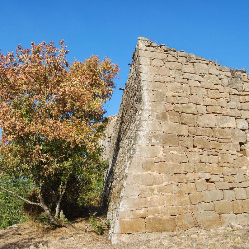 10 de Setembre de 2016 Castell  Llanera -  Ramon Sunyer