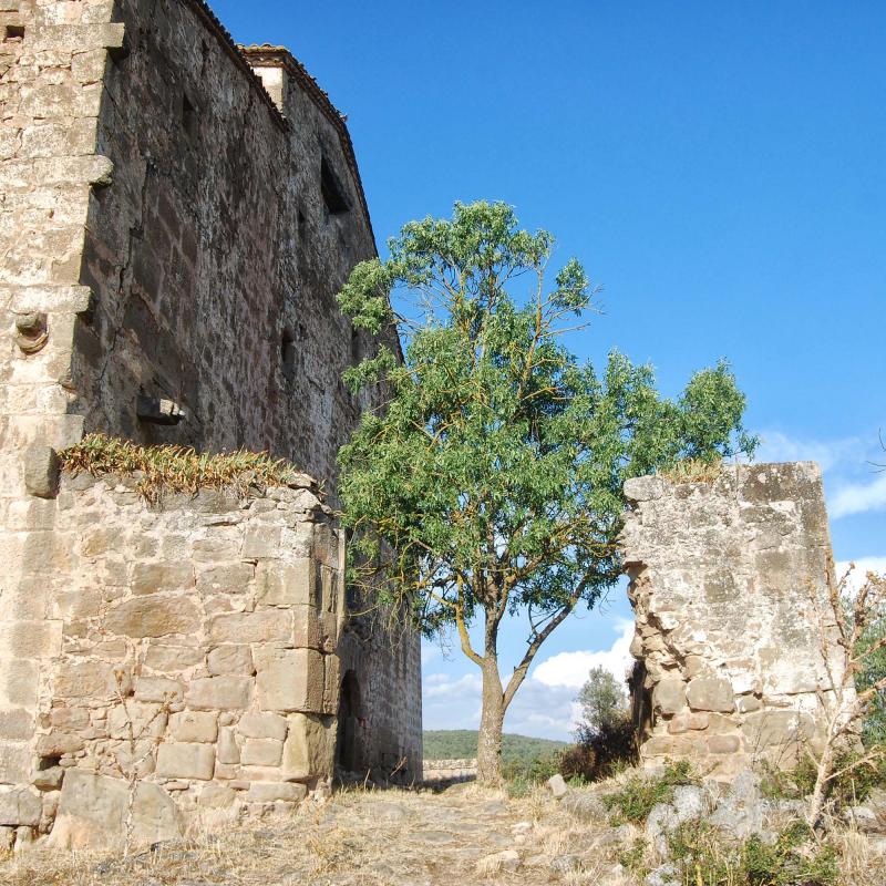 10 de Setembre de 2016 Castell  Llanera -  Ramon Sunyer