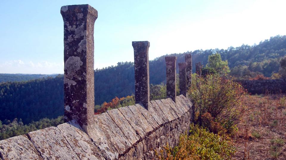 10 de Setembre de 2016 Castell  Llanera -  Ramon Sunyer