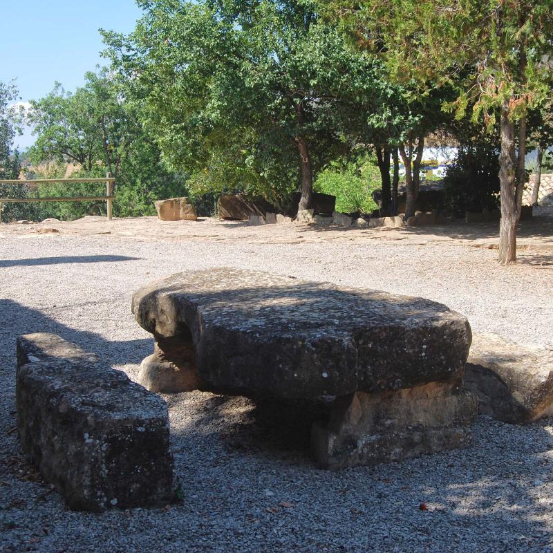 11 de Setembre de 2016 zona de descans  Sanaüja -  Ramon Sunyer