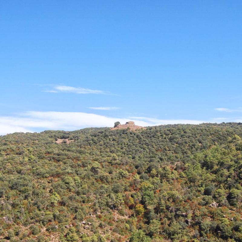 18 de Setembre de 2016 Torre  Vallferosa -  Ramon Sunyer