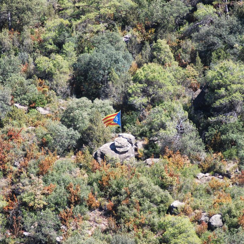 18 de Setembre de 2016 paisatge  Vallferosa -  Ramon Sunyer