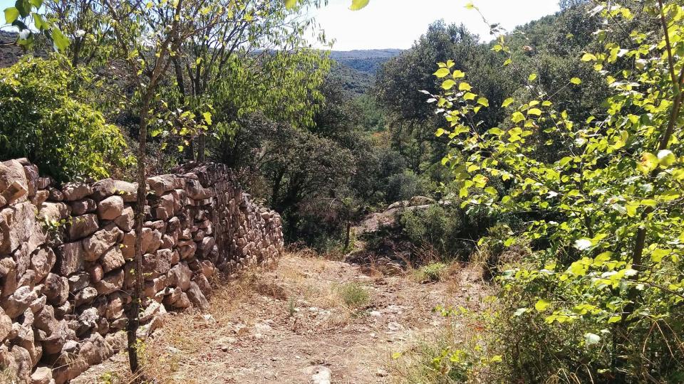 18.9.2016 carrer  Vallferosa -  Ramon Sunyer