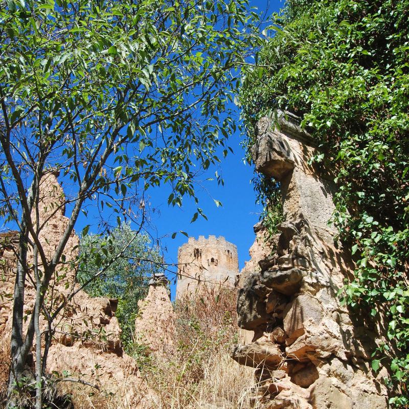 18 de Setembre de 2016 Torre  Vallferosa -  Ramon Sunyer