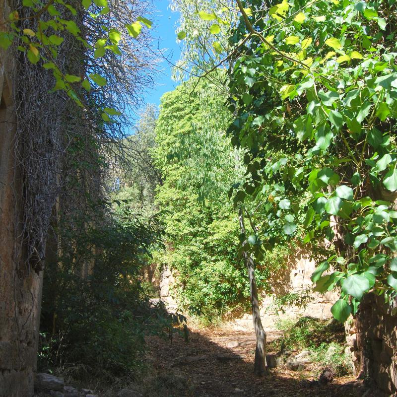 18 de Setembre de 2016 camí  Vallferosa -  Ramon Sunyer