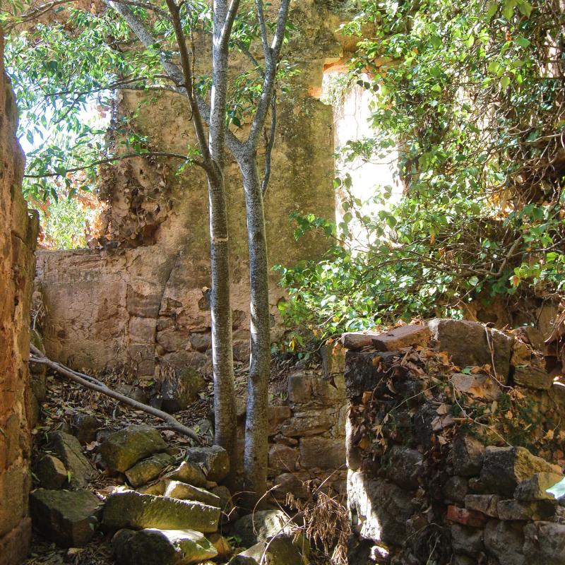 18 de Setembre de 2016 casa  Vallferosa -  Ramon Sunyer