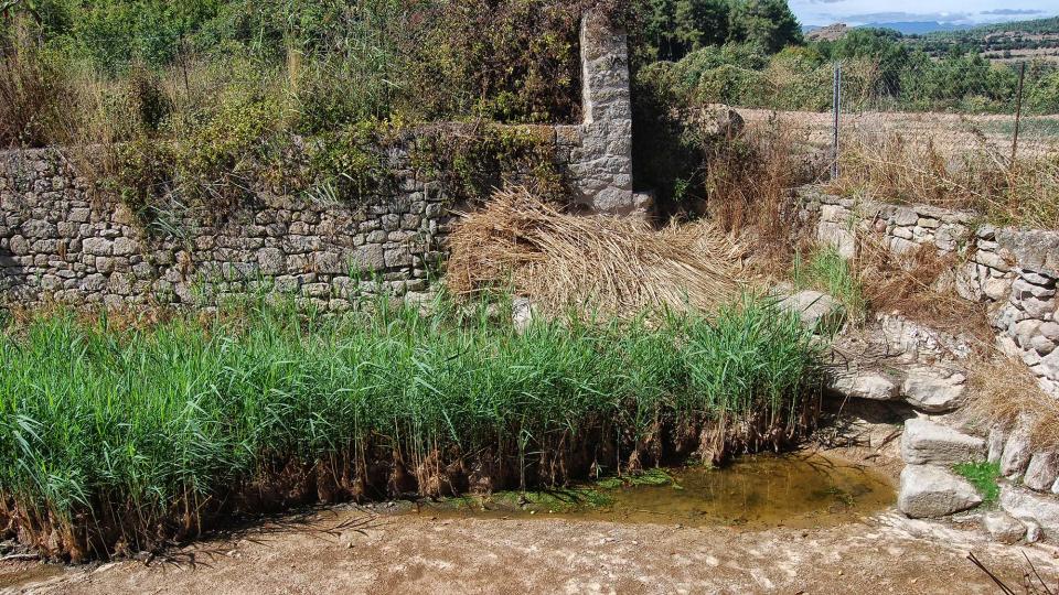 18 de Setembre de 2016 bassa  Llobera -  Ramon Sunyer