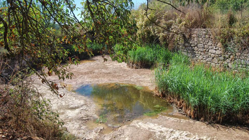 18 de Setembre de 2016 bassa  Llobera -  Ramon Sunyer