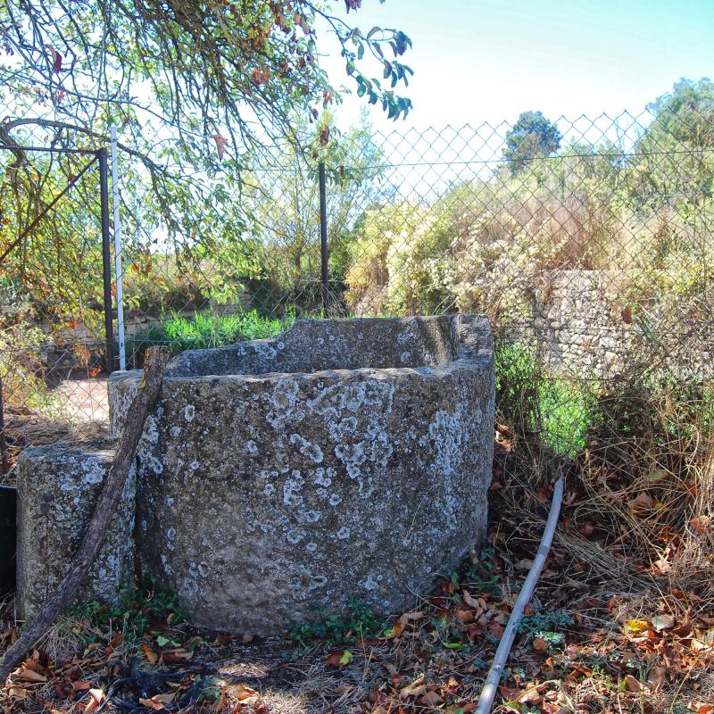 18 de Setembre de 2016 bassa  Llobera -  Ramon Sunyer