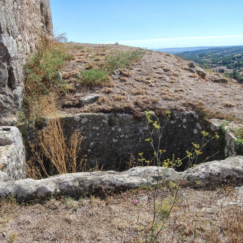 18 de Setembre de 2016 bassa  Peracamps -  Ramon Sunyer