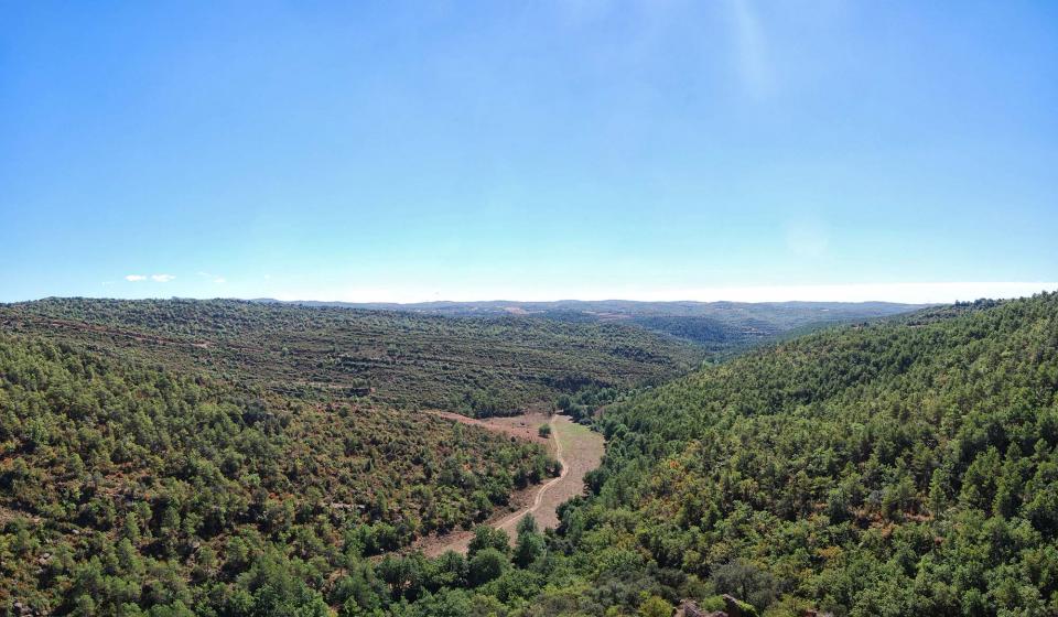 18.9.2016 paisatge de la vall  Vallferosa -  Ramon Sunyer