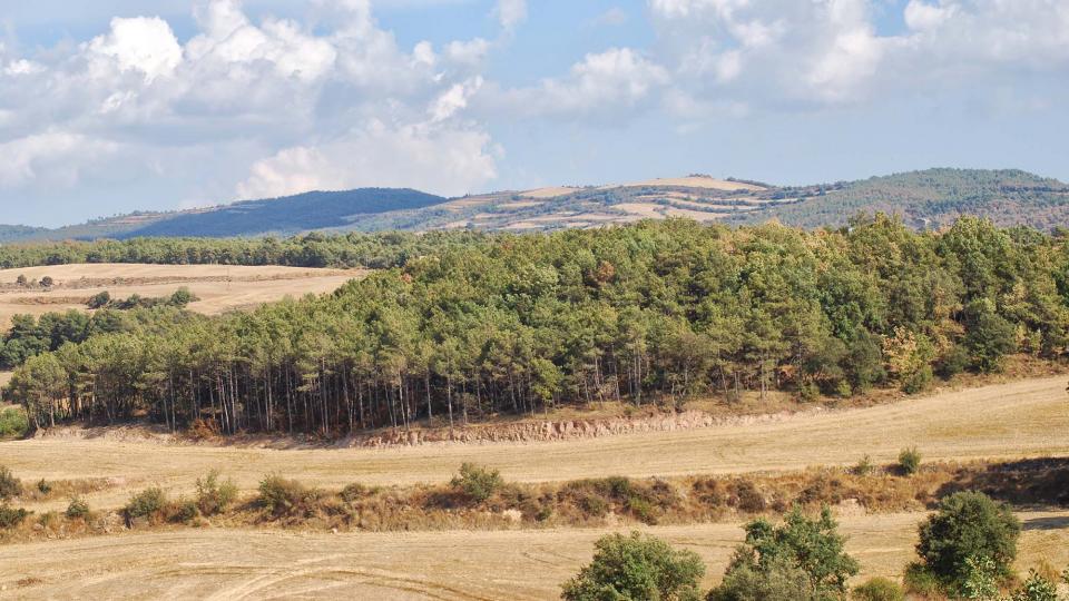 10 de Setembre de 2016 paisatge  Sant Serni -  Ramon Sunyer