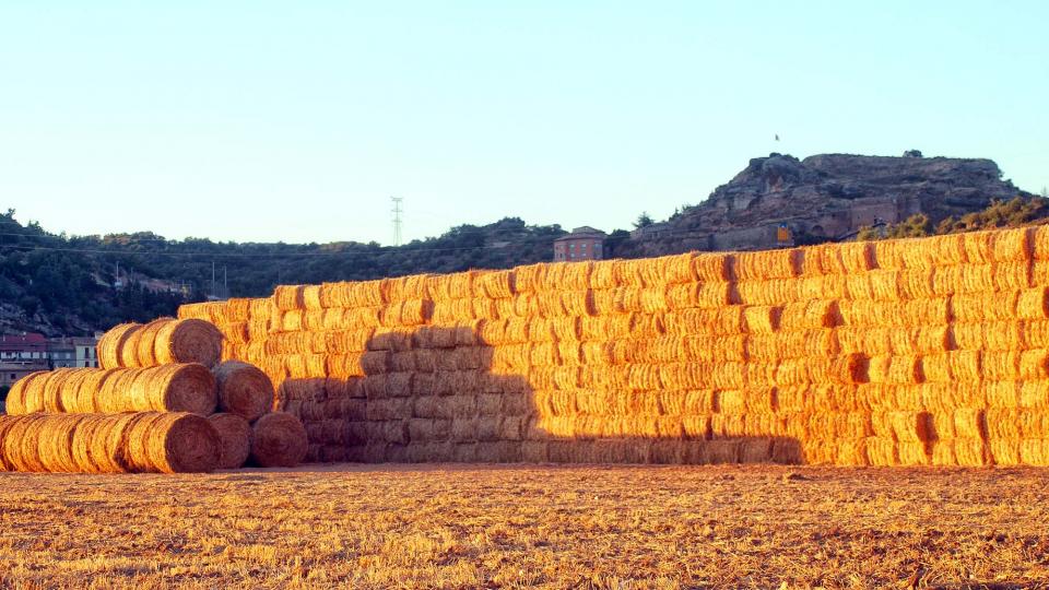 6 de Agost de 2016 bales de palla  Biosca -  Ramon Sunyer