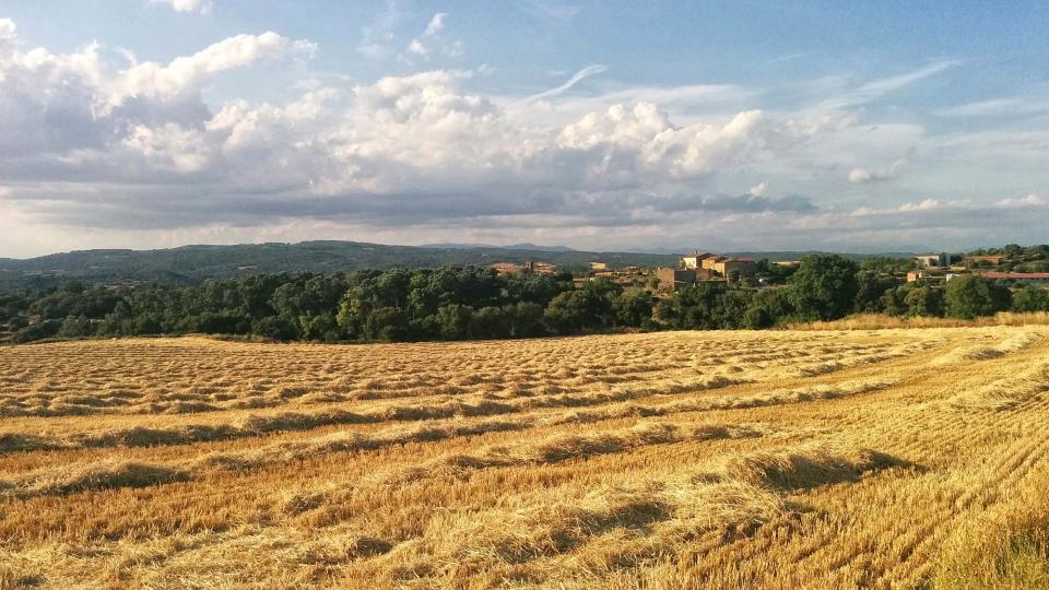 25 de Juny de 2016 paisatge  Sant Serni -  Ramon Sunyer